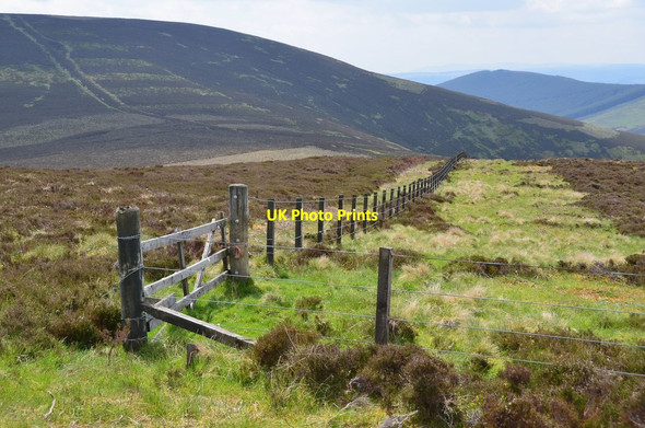 Photo 6"x4" Angle in the fence, Maiden Law Maiden Law\/NT3941 c2016