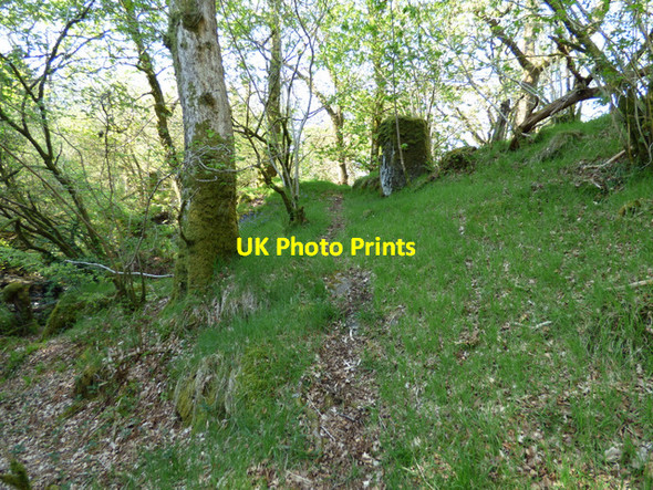 Photo 6"x4" Path at Duchal Castle Kilmacolm c2016