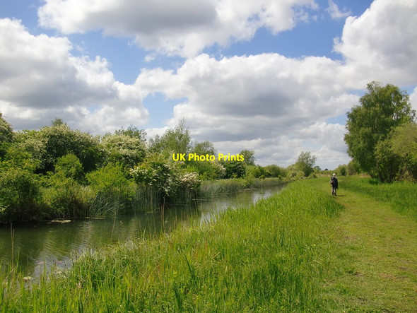 Photo 6"x4" Along Wicken Lode in May (1) Wicken\/TL5670 c2016