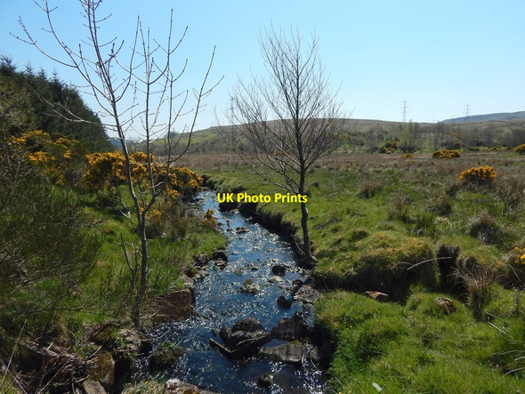 Photo 6"x4" Burn near Auchineden Farm Blanefield\/NS5579 c2016