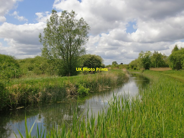 Photo 6"x4" Along Wicken Lode in May (2) Wicken\/TL5670 c2016