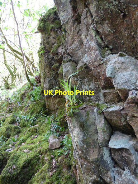 Photo 6"x4" Rockface at Duchal Castle Kilmacolm c2016