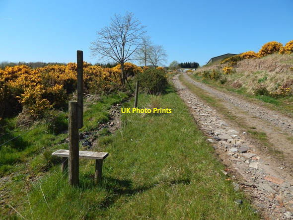 Photo 6"x4" The John Muir Way near Edenmill Blanefield\/NS5579 c2016