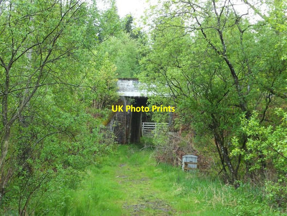 Photo 6"x4" Railway bridge by B867 Birnam c2016