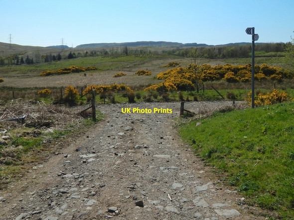 Photo 6"x4" The John Muir Way near Edenmill Blanefield\/NS5579 c2016