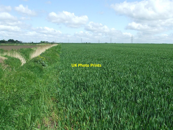 Photo 6"x4" Green Field Sandhill\/TL5786 c2016