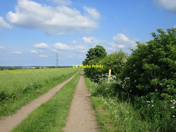 Photo 6"x4" Farm track near Bingham Bingham\/SK7039 c2016