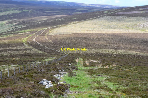 Photo 6"x4" Col north of Seathope Law Holylee c2016