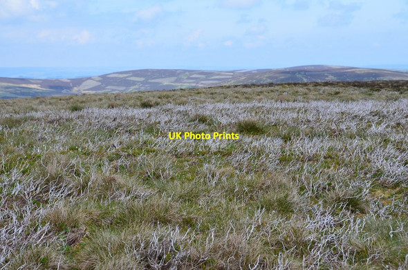 Photo 6"x4" The flat summit of Seathope Law Holylee c2016