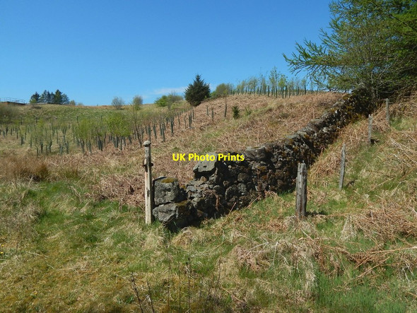Photo 6"x4" End of a dry-stone wall Auchineden Fm c2016