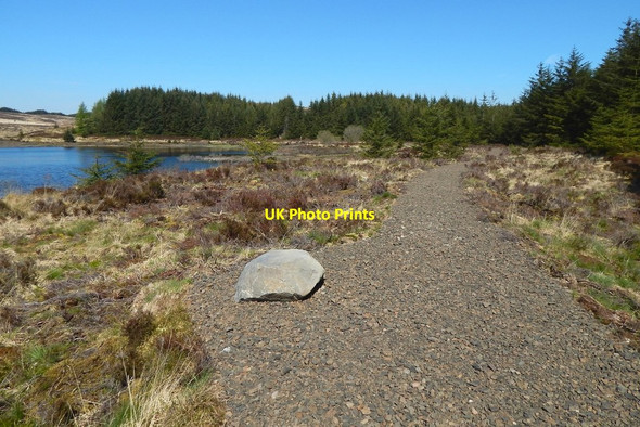 Photo 6"x4" The John Muir Way beside Burncrooks Reservoir Kilmannan Reservoir c2016