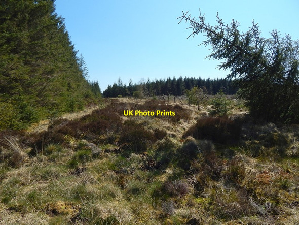 Photo 6"x4" Firebreak and fence Kilmannan Reservoir c2016