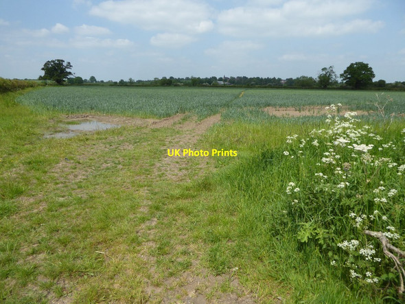 Photo 6"x4" Farmland near Tibberton Moor End\/SO9056 c2016