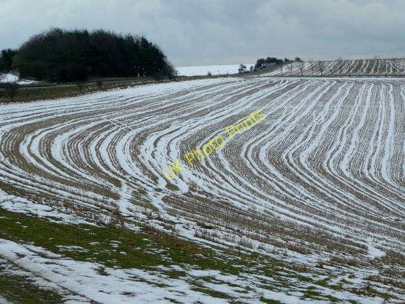 Photo 6"x4" Pertwood Down Brixton Deverill c2009