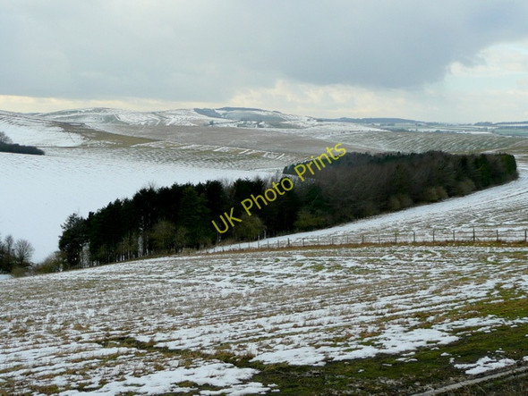 Photo 6"x4" Wiltshire Downland 2 Brixton Deverill c2009