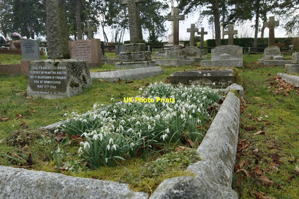 Photo 6"x4" Snowdrops on the Grave No Man's Land\/SU5029 c2016