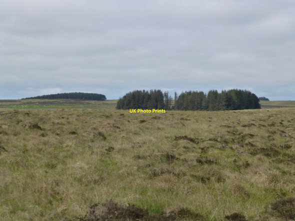 Photo 6"x4" Looking across Todcrag Moss Knowesgate c2016