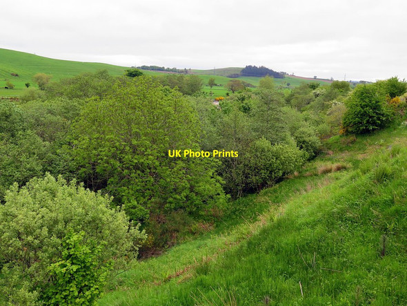 Photo 6"x4" Wooded valley of River Breamish Branton\/NU0416 c2016
