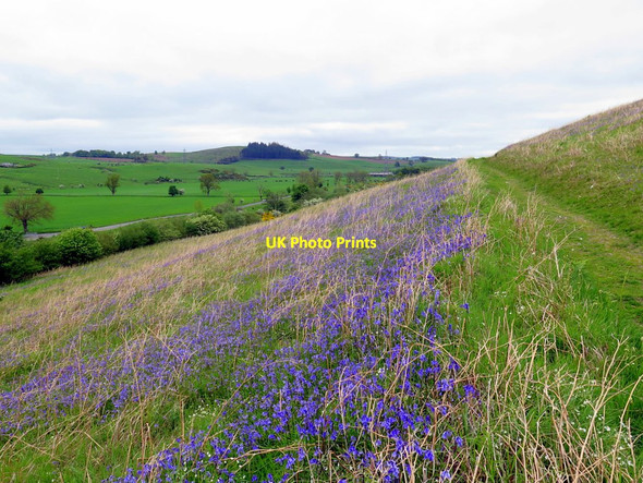 Photo 6"x4" Path below East Hill Branton\/NU0416 c2016
