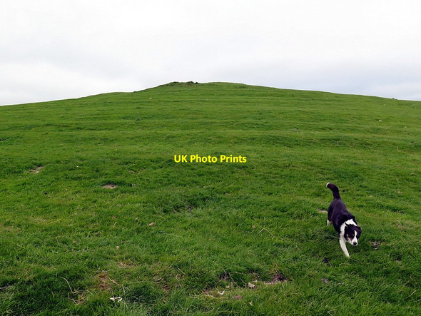 Photo 6"x4" East Hill Branton\/NU0416 c2016