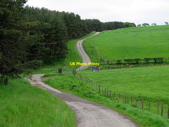 Photo 6"x4" Road to Clinch near Fawdon Burn Fawdon\/NU0315 c2016