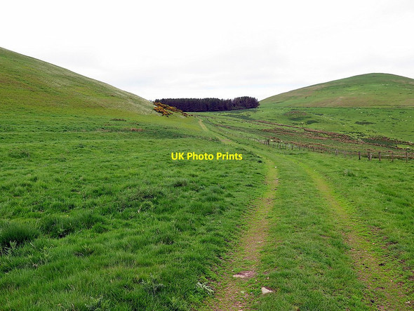 Photo 6"x4" Path below Gibb's Hill Fawdon\/NU0315 c2016