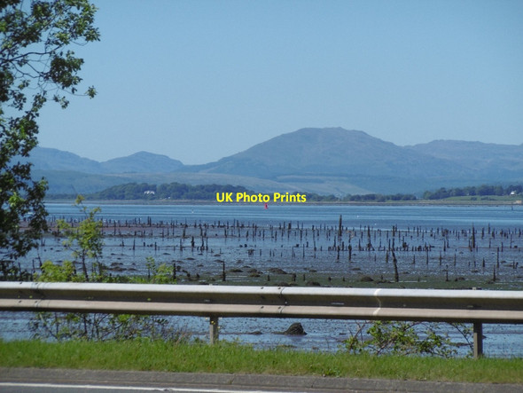 Photo 6"x4" Remains of timber ponds Langbank\/NS3873 c2016