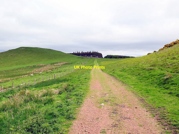 Photo 6"x4" Track below Gibb's Hill Fawdon\/NU0315 c2016