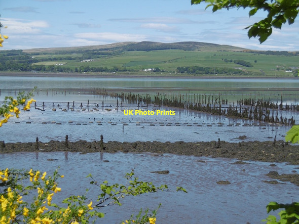 Photo 6"x4" Timber ponds, Port Glasgow Port Glasgow c2016