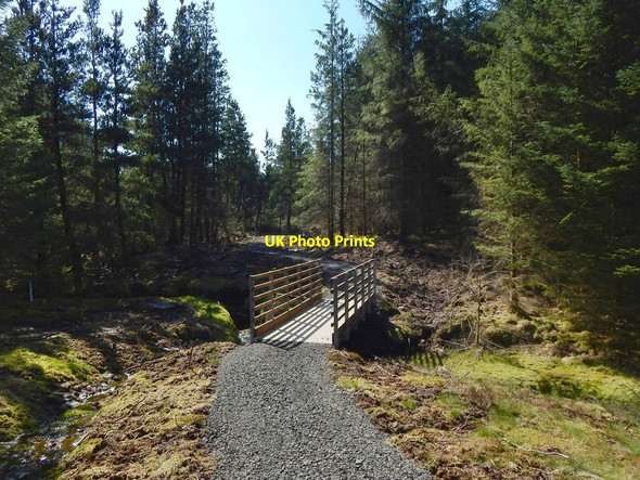 Photo 6"x4" New footbridge over the Carling Burn Carling Burn c2016
