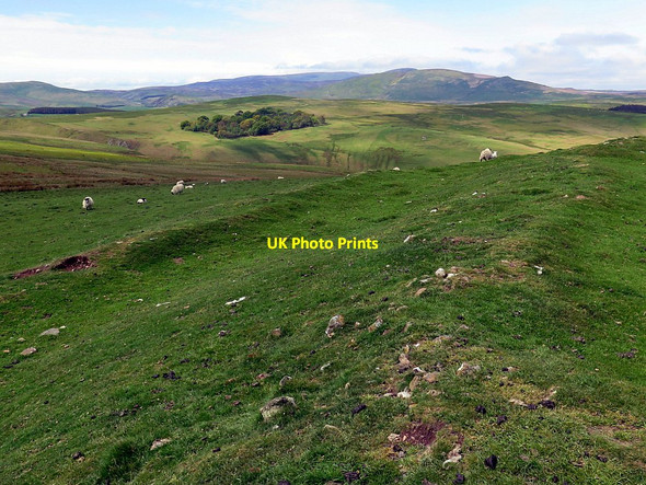 Photo 6"x4" South-west ramparts of Wether Hill hillfort Ingram c2016