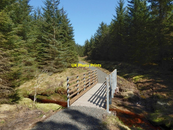 Photo 6"x4" New footbridge over the Carling Burn Carling Burn c2016