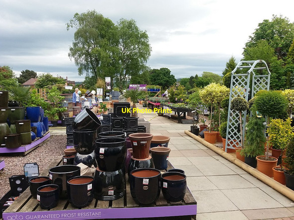 Photo 6"x4" Astbury Garden Centre (1) Congleton c2016