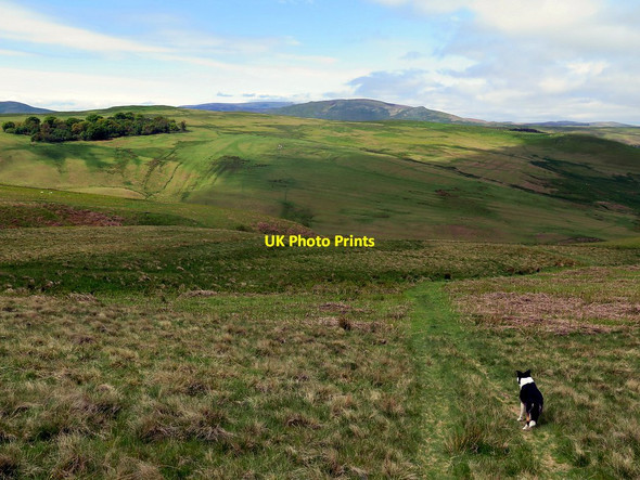 Photo 6"x4" Path to Middle Dean Ingram c2016