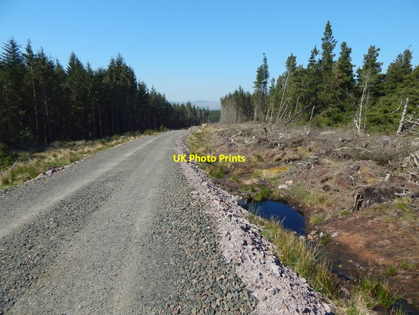Photo 6"x4" Forestry track Carling Burn c2016
