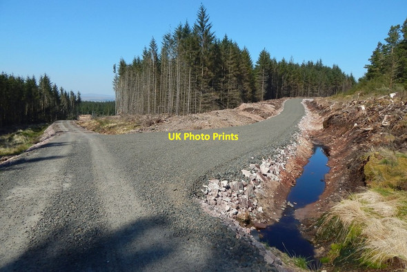 Photo 6"x4" Forestry track junction Carling Burn c2016