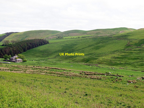 Photo 6"x4" Cultivation terraces above Ingram Hill Ingram c2016