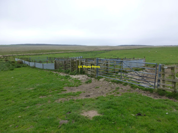 Photo 6"x4" Sheep pens Lough Hill\/NZ0194 c2016