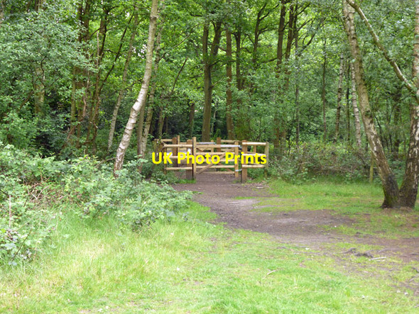 Photo 6"x4" Way out, Horsell Common Woking c2016