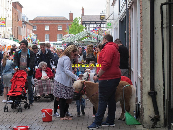 Photo 6"x4" Shetland ponies, Market Street, Lichfield Lichfield c2016