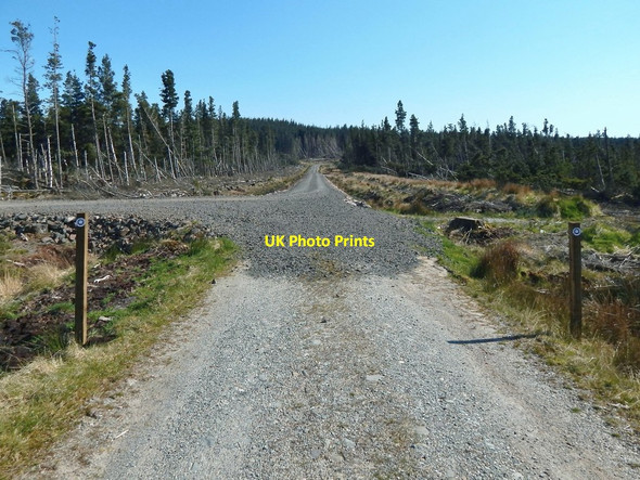 Photo 6"x4" Forestry track junction Craighat c2016