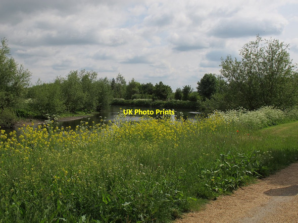 Photo 6"x4" On the banks of the River Teme Croxall c2016