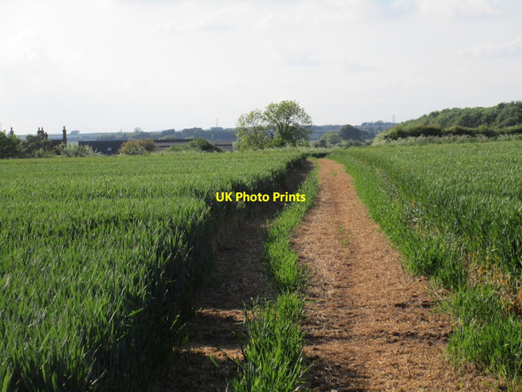 Photo 6"x4" Footpath to Bingham Barnstone c2016