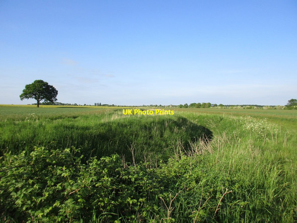 Photo 6"x4" Drain in an open landscape Bingham\/SK7039 c2016