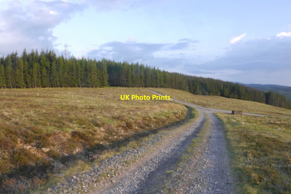 Photo 6"x4" Edendon road Dalnacardoch Wood c2016