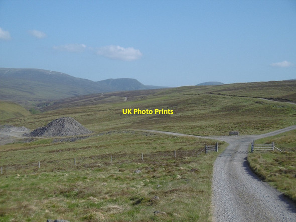 Photo 6"x4" Edendon road Dalnacardoch Wood c2016