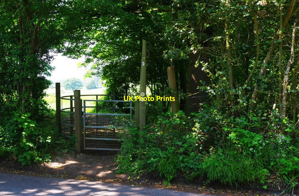 Photo 6"x4" Public footpath to Chaddesley Woods Nature Reserve, near Dodford, Worcs Bournes Green\/SO9174 c2016