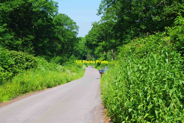 Photo 6"x4" Woodcote Green Lane, near Dodford, Worcs Bournes Green\/SO9174 c2016