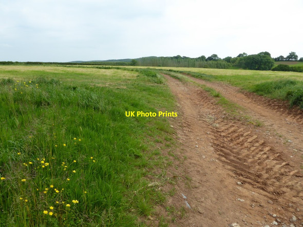 Photo 6"x4" Field entrance off King Road Churchill\/ST4560 c2016