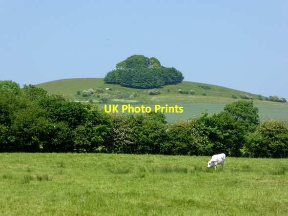 Photo 6"x4" Field at Woodborough Bottlesford c2016